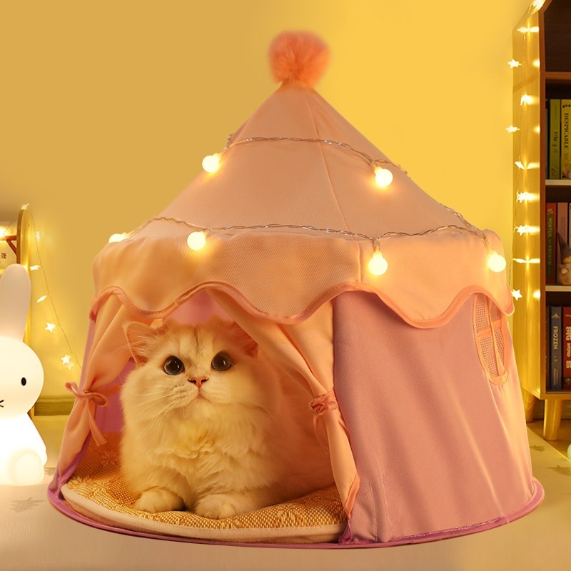 a cat tent and a cat