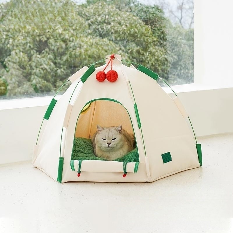 cat tent by the window
