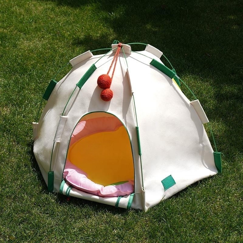cat tent on the grass