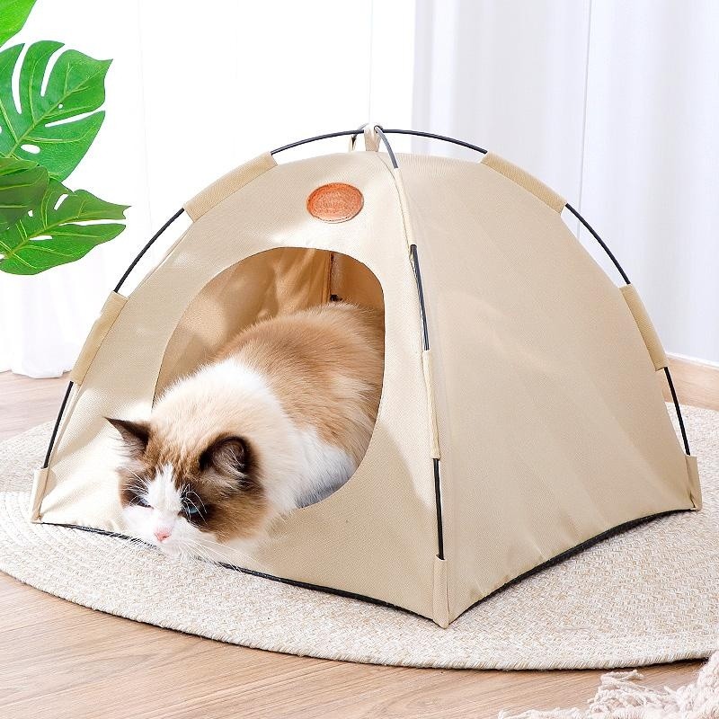 cat enjoy the sunshine in tent